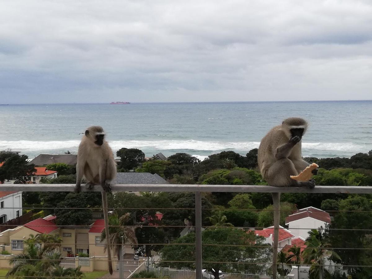 Ocean Vista Boutique Guest House Durban Exterior foto